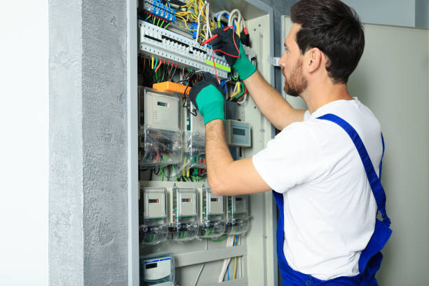 Best Electric Panel Repair  in Olton, TX